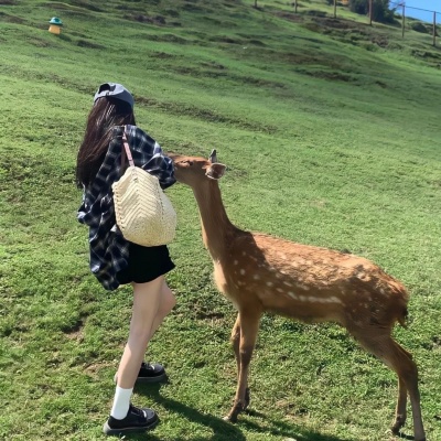 唯美旅游风景女生头像大集合!旅途中的诗意松弛全拿捏 女生头像 第8张 唯美旅游风景女生头像大集合!旅途中的诗意松弛全拿捏 女生头像 第8张