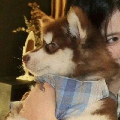 对象不是人可爱情侣头像分享 情侣头像 第5张 对象不是人可爱情侣头像分享 情侣头像 第5张