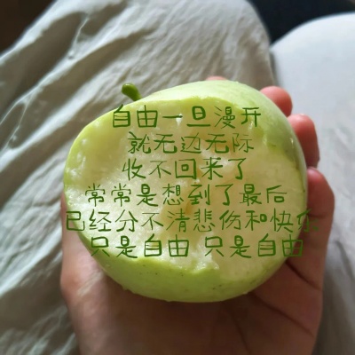 被唯美风景静物随拍头像美到了 风景头像 第5张