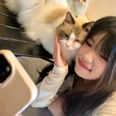 对象不是人是猫咪可爱系列情头 情侣头像 第1张 对象不是人是猫咪可爱系列情头 情侣头像 第1张