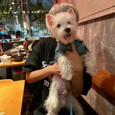 挖到宝啦!真人氛围小众男生头像分享 男生头像 第5张 挖到宝啦!真人氛围小众男生头像分享 男生头像 第5张