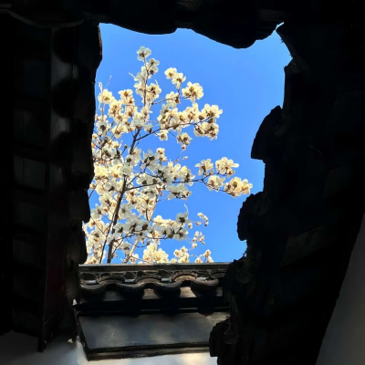 被天空花朵风景头像美哭啦! 风景头像 第3张 被天空花朵风景头像美哭啦! 风景头像 第3张