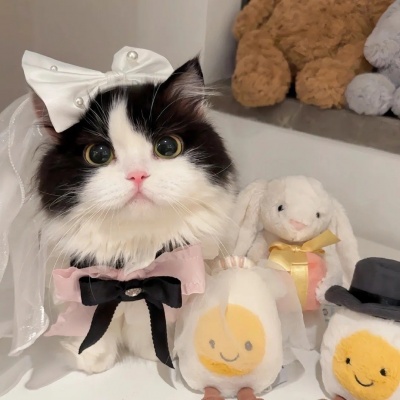 萌炸了!一左一右可爱猫猫情侣头像来啦! 情侣头像 第10张 萌炸了!一左一右可爱猫猫情侣头像来啦! 情侣头像 第10张