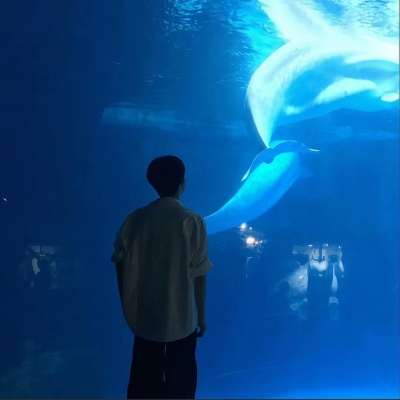高级感拉满的小众又治愈氛围感背影男头合集 男生头像 第9张