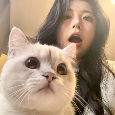 纯欲风抱猫女生头像,萌化你的心! 女生头像 第5张 纯欲风抱猫女生头像,萌化你的心! 女生头像 第5张