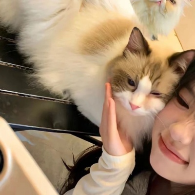 对象不是人是猫咪可爱系列情头 情侣头像 第2张 对象不是人是猫咪可爱系列情头 情侣头像 第2张