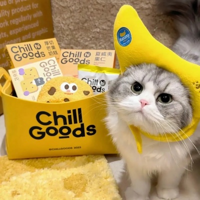 萌炸了!一左一右可爱猫猫情侣头像来啦! 情侣头像 第2张 萌炸了!一左一右可爱猫猫情侣头像来啦! 情侣头像 第2张