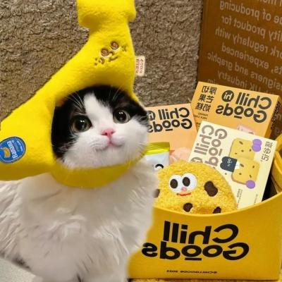 萌炸了!一左一右可爱猫猫情侣头像来啦! 情侣头像 第1张 萌炸了!一左一右可爱猫猫情侣头像来啦! 情侣头像 第1张