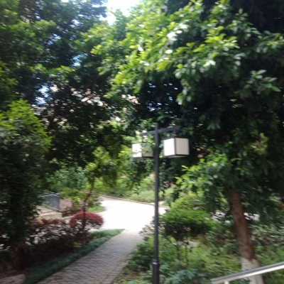 被这些小众风景头像美到啦！ 风景头像 第2张