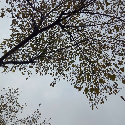 被这些小众风景头像美到啦！ 风景头像 第1张