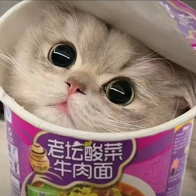 萌化啦！这些可爱呆萌头像来袭 其它头像 第1张