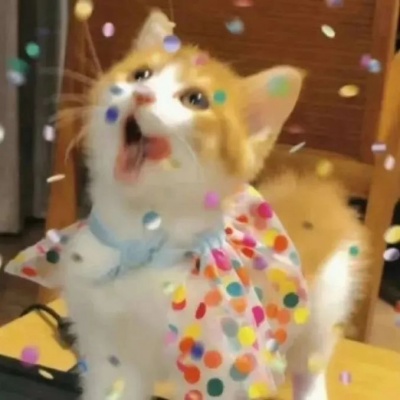 可爱猫咪情头一左一右，超有爱 情侣头像 第1张