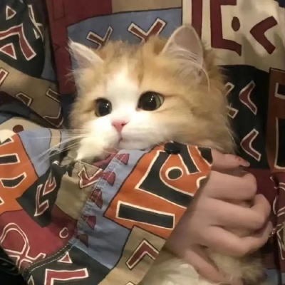 可爱猫咪情头一左一右，超有爱 情侣头像 第4张