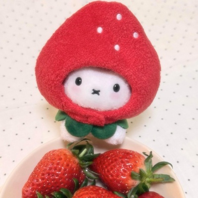 萌化啦！超可爱玩偶头像🥰 其它头像 第4张