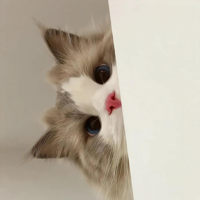 萌炸啦!可爱搞怪猫咪头像来袭