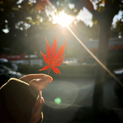 氛围感拉满的ins小众蓝调风景头像✨ 风景头像 第4张 氛围感拉满的ins小众蓝调风景头像✨ 风景头像 第4张