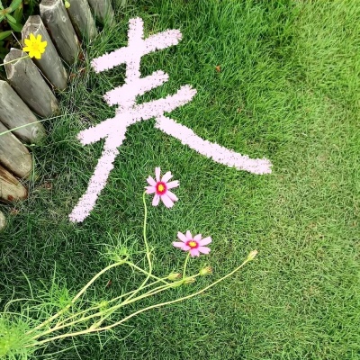 🌼唯美花朵治愈风景头像,一眼就心动!