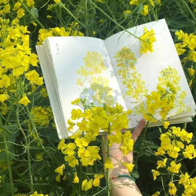 🌼唯美花朵治愈风景头像,一眼就心动! 风景头像 第10张 🌼唯美花朵治愈风景头像,一眼就心动! 风景头像 第10张