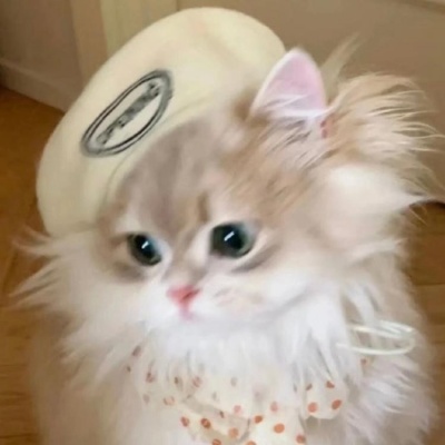 🐱超萌！可爱小猫头像精选 动物头像 第6张
