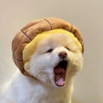 🐶萌化啦！超可爱的小狗头像来袭  动物头像 第5张