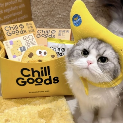 🐱萌化啦!可爱猫咪超萌情侣头像推荐 情侣头像 第4张 🐱萌化啦!可爱猫咪超萌情侣头像推荐 情侣头像 第4张