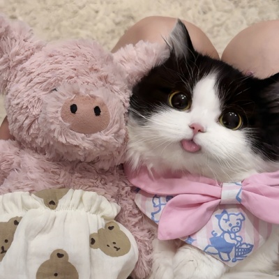 🐱萌化啦!可爱猫咪超萌情侣头像推荐 情侣头像 第8张 🐱萌化啦!可爱猫咪超萌情侣头像推荐 情侣头像 第8张