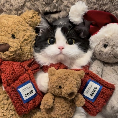 🐱萌化啦!可爱猫咪超萌情侣头像推荐 情侣头像 第1张 🐱萌化啦!可爱猫咪超萌情侣头像推荐 情侣头像 第1张