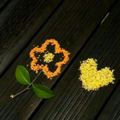 🌼唯美花朵治愈风景头像,一眼就心动! 风景头像 第2张 🌼唯美花朵治愈风景头像,一眼就心动! 风景头像 第2张