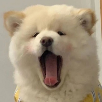🐶萌化啦！超可爱的小狗头像来袭  动物头像 第10张
