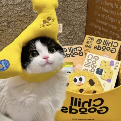 🐱萌化啦!可爱猫咪超萌情侣头像推荐 情侣头像 第3张 🐱萌化啦!可爱猫咪超萌情侣头像推荐 情侣头像 第3张