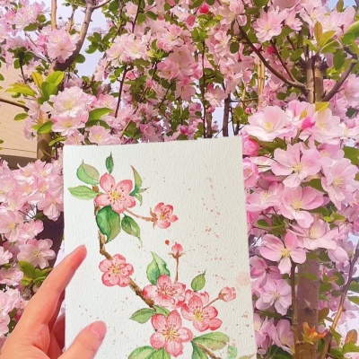🌸唯美彩绘花卉头像,美到犯规! 其它头像 第2张 🌸唯美彩绘花卉头像,美到犯规! 其它头像 第2张