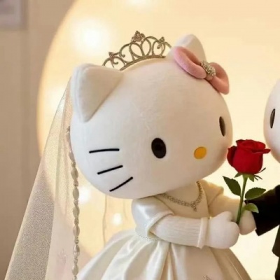 超萌可爱Kitty玩偶情头合集|小众不撞款,情侣日常发圈必备 情侣头像 第3张 超萌可爱Kitty玩偶情头合集|小众不撞款,情侣日常发圈必备 情侣头像 第3张