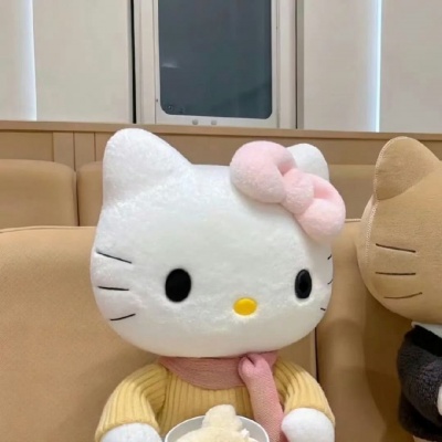 超萌可爱Kitty玩偶情头合集|小众不撞款,情侣日常发圈必备 情侣头像 第5张 超萌可爱Kitty玩偶情头合集|小众不撞款,情侣日常发圈必备 情侣头像 第5张