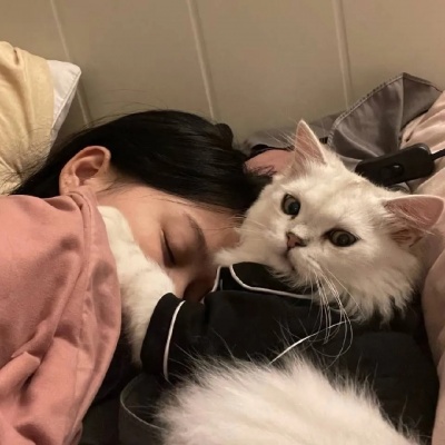 温柔系抱猫女头推荐：和猫咪贴贴的瞬间，每一张都超治愈 女生头像 第8张