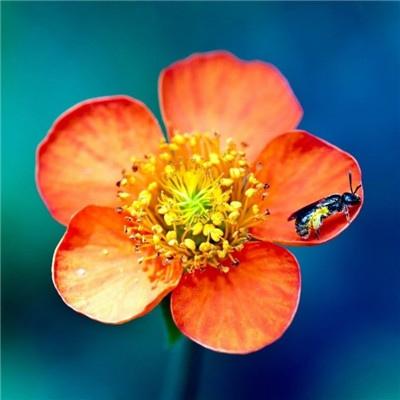 2025微信旺自己的头像🚀2025必入！ 其它头像 第16张