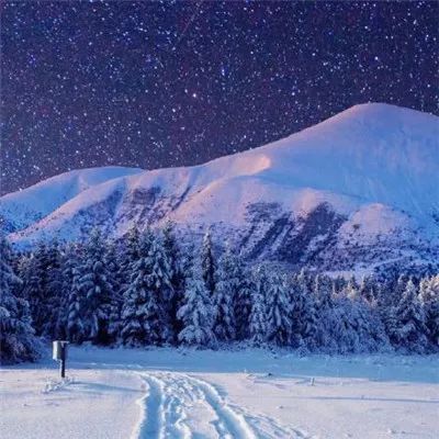 2025微信旺自己的头像🚀2025必入！ 其它头像 第116张