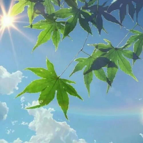 给人一种阳光的头像图片推荐，让你瞬间点亮社交圈 其它头像 第29张