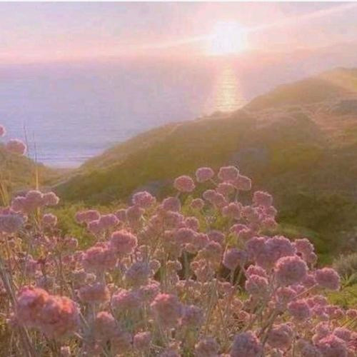 给人一种阳光的头像图片推荐，让你瞬间点亮社交圈 其它头像 第56张