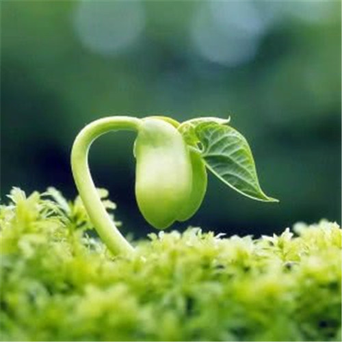 给人一种阳光的头像图片推荐，让你瞬间点亮社交圈 其它头像 第68张