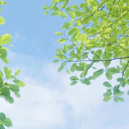 格调拉满！这些有品位的微信头像超绝 其它头像 第24张