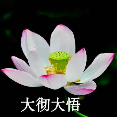 高级又沙雕的头像，简直不要太好玩 其它头像 第8张