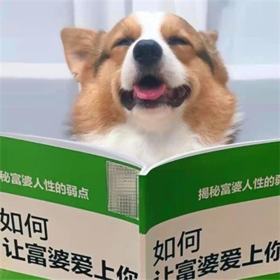 高级又沙雕的头像，简直不要太好玩 其它头像 第86张