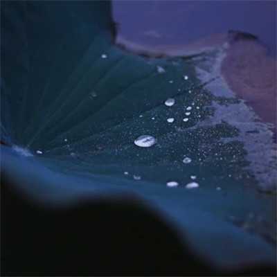 绝美！治愈系小众唯美高清无水印风景头像大集合 风景头像 第55张