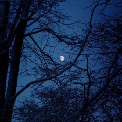 绝美！治愈系小众唯美高清无水印风景头像大集合 风景头像 第53张