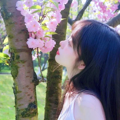 清新唯美女生头像图片大全分享 女生头像 第57张