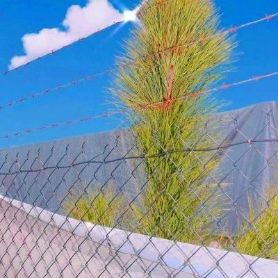 宝藏！迷人风景头像图片大集合来啦 风景头像 第8张
