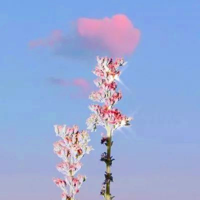 宝藏！迷人风景头像图片大集合来啦 风景头像 第12张