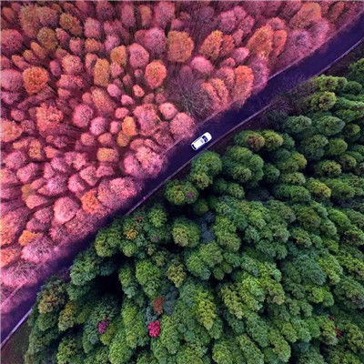 宝藏！迷人风景头像图片大集合来啦 风景头像 第91张