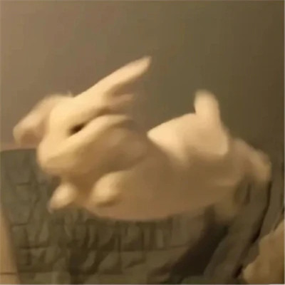 拒绝烂大街！冷门又耐看的情侣头像合集，永久不换系列 情侣头像 第89张