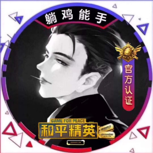 超绝！和平精英头像大集合来袭 其它头像 第47张